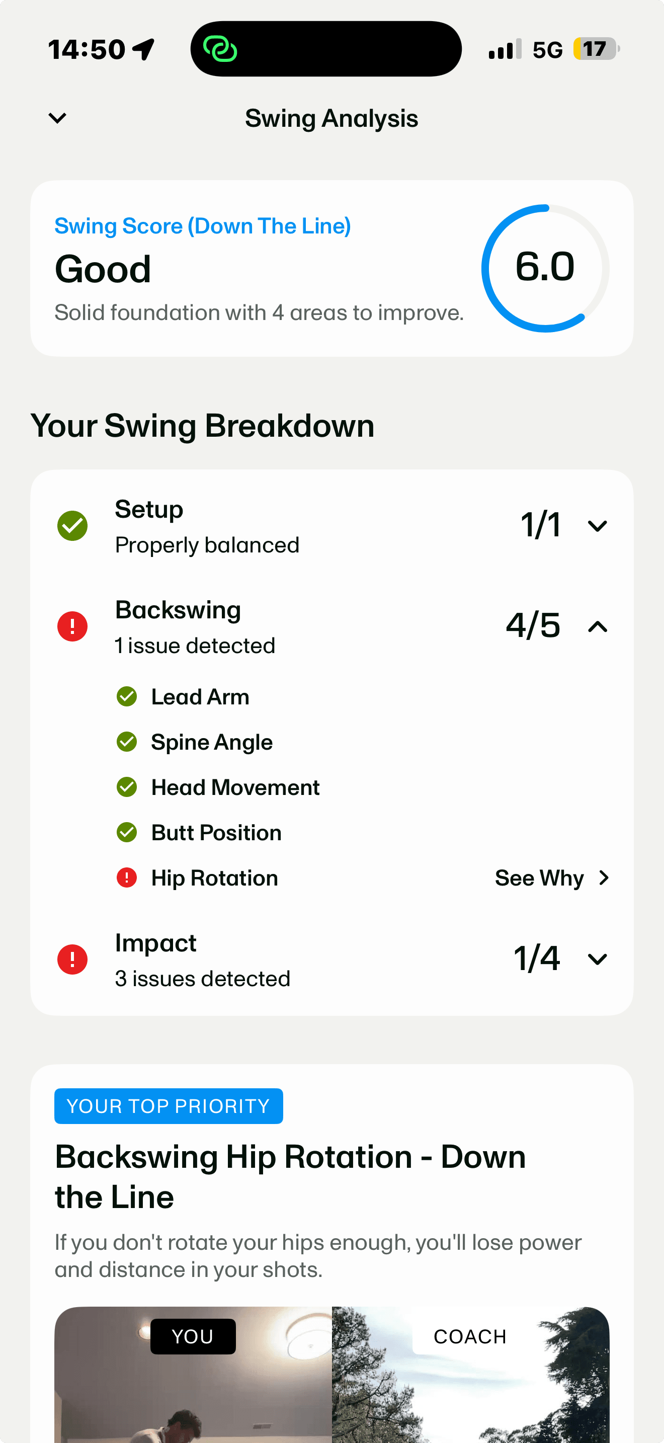 Full-screen AI Swing Analyzer swing analysis